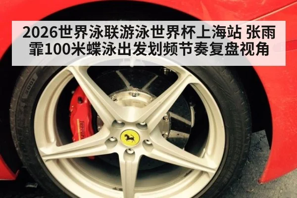 2026世界泳联游泳世界杯上海站 张雨霏100米蝶泳出发划频节奏复盘视角
